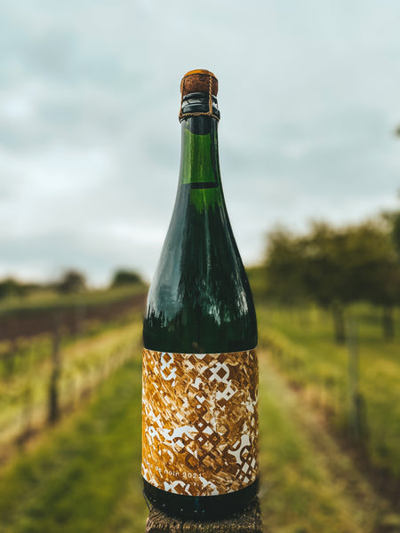 Blanc de Noir Sekt 2022